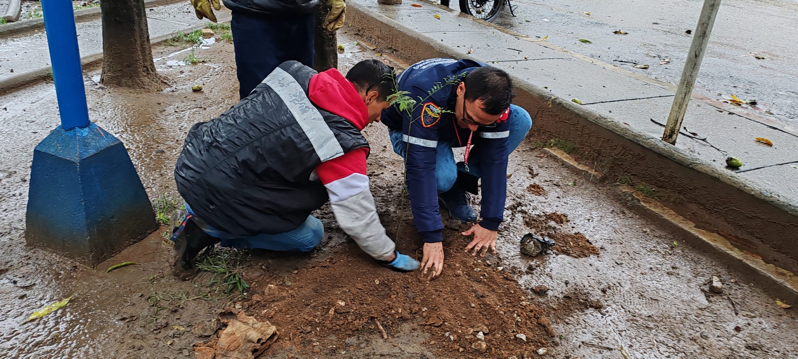 El director de la entidad también contribuyó en la jornada con la siembre de varios arboles.