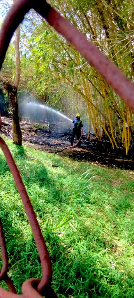 Incendio forestal fue atendido por el Cuerpo Oficial de Bomberos de Bucaramanga