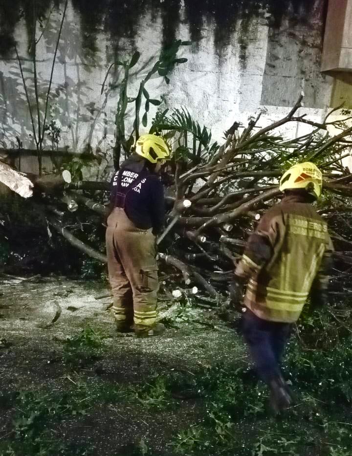 Caída de tronco en el barrio Gaitán fue atendido por los Bomberos