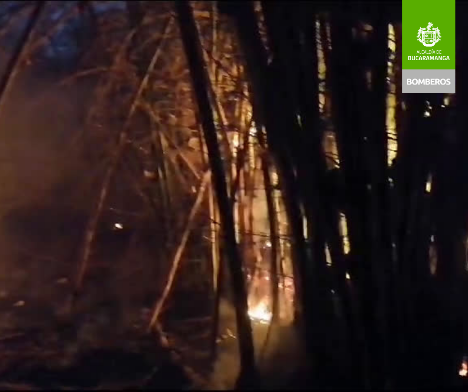 Bomberos controló incendio forestal en el barrio Manzanares