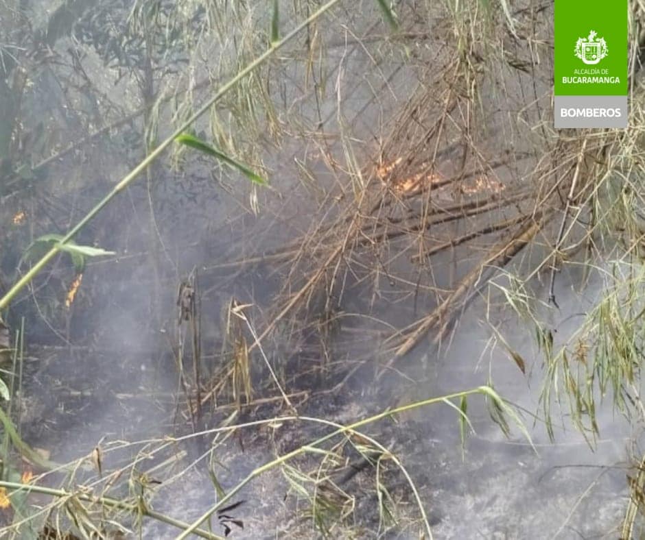 Bomberos controló incendio forestal en cercanía al parque La Flora